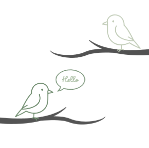 contact The Digital Nest