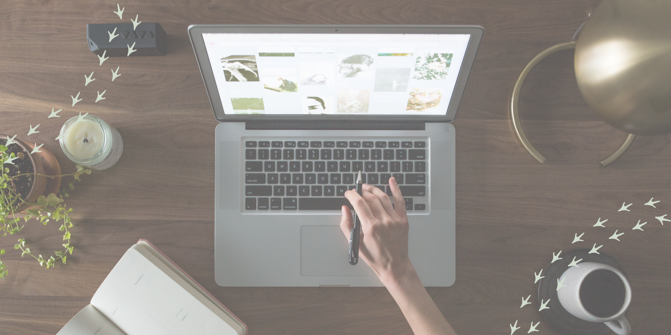 Digital support for small businesses from The Digital Nest